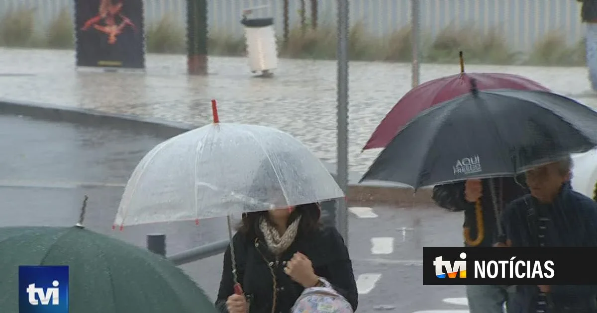 Estragos num centro comercial, quedas de árvores e até inundações: chuva faz estragos em vários pontos do país