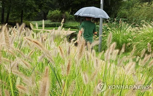 충북 흐리고 가끔 비…낮 최고 31도