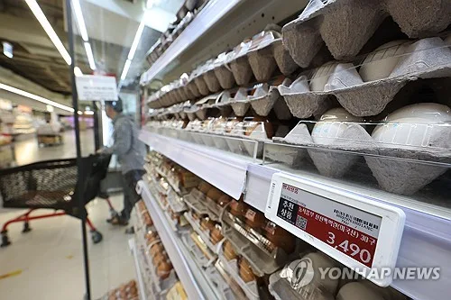 농식품부 "브라질산 계란 수입비 16억원 중 구매비는 2억원"