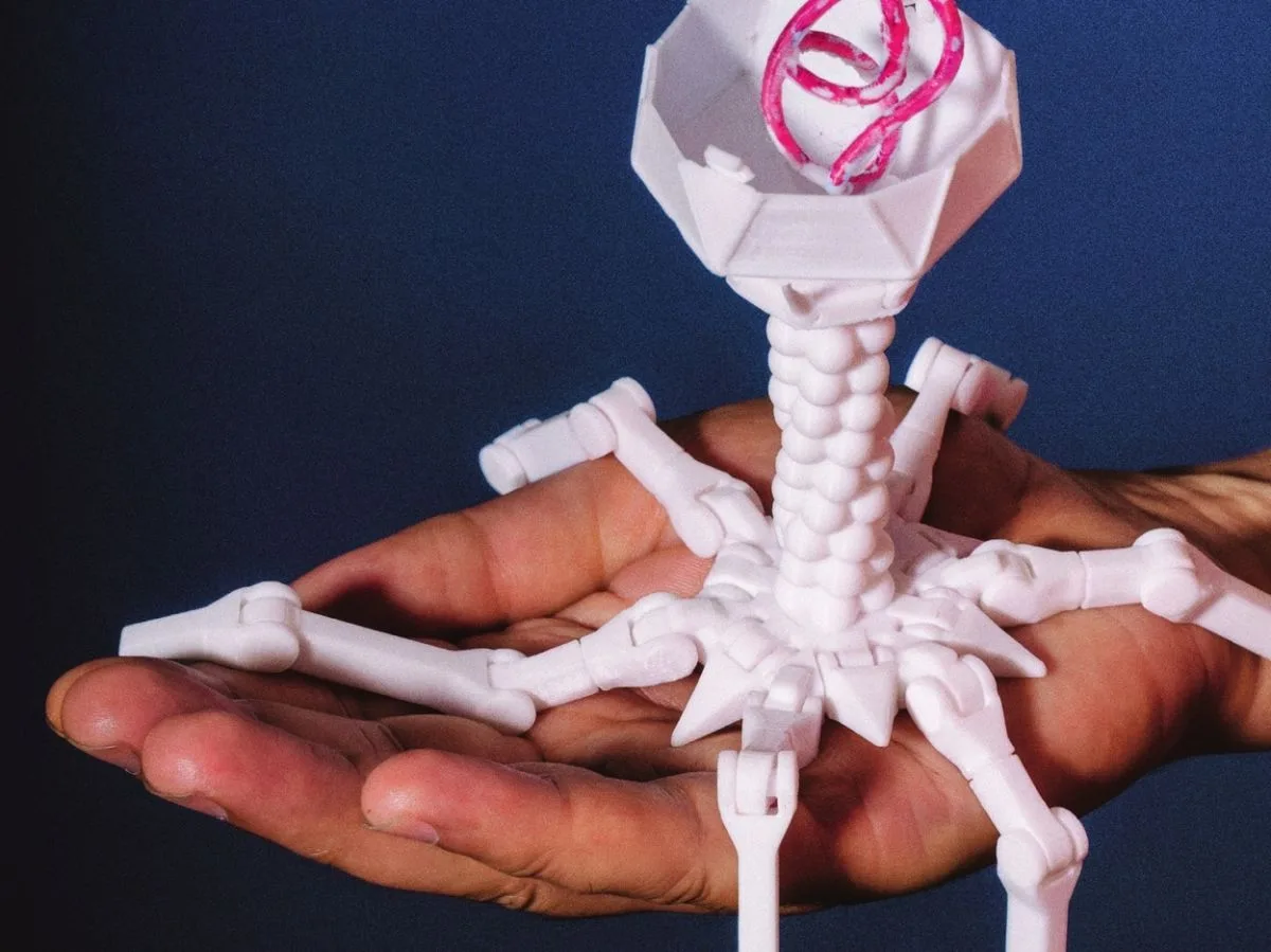 Première mondiale : des virus transformés en médicaments contre les bactéries résistantes