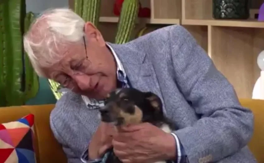 César, sobre su perro: “Quiero encontrar una familia que lo cuide porque yo ya no puedo”
