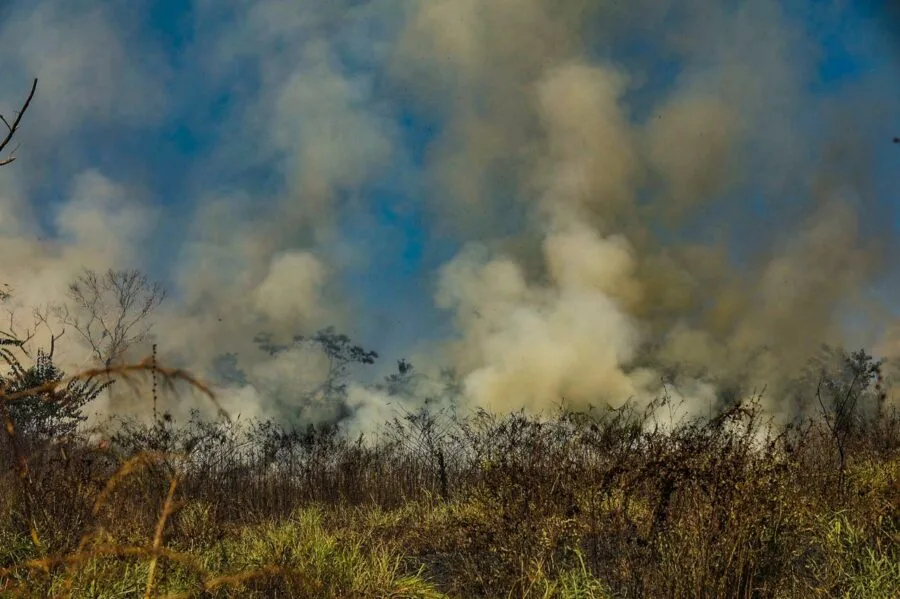 Amazonas em chamas: 31 mil focos de queimadas em apenas cinco dias