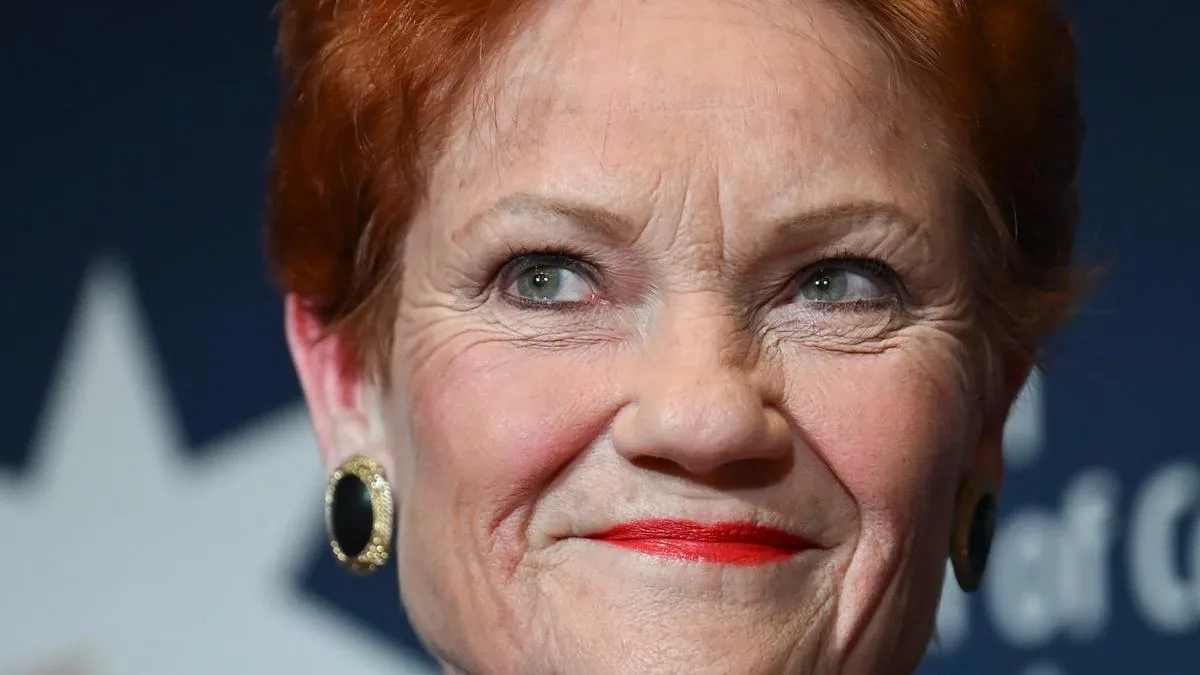 Pauline Hanson promises businesses skilled migration will continue under One Nation plan