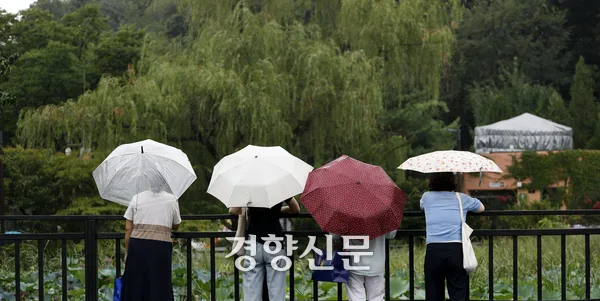 22일 전국 곳곳 비·소나기···낮 최고 34도 무더위 계속