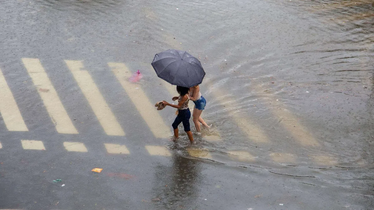 Brasil pode sentir efeitos do 'super El Niño' na primavera; veja previsões para diferentes regiões