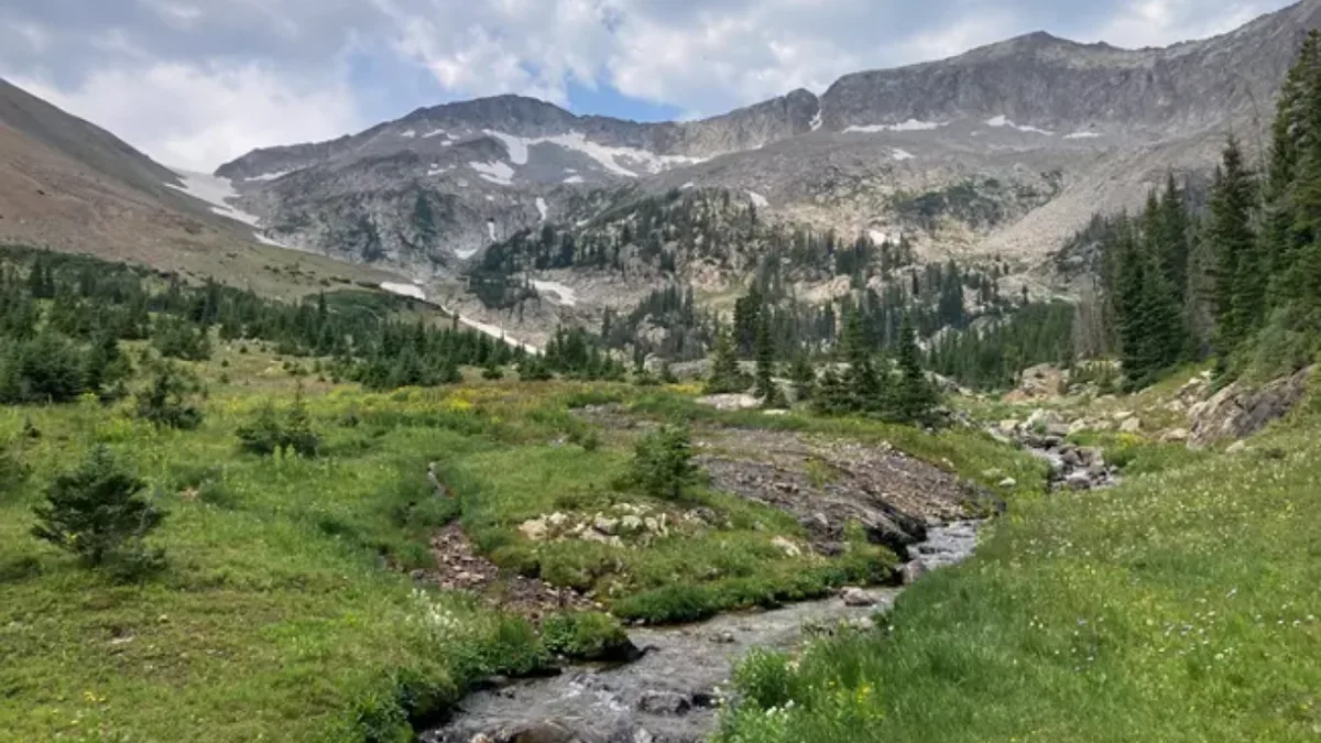 After 20M fish were stocked, 2026 crews treated 14.3 miles to restore threatened greenback trout