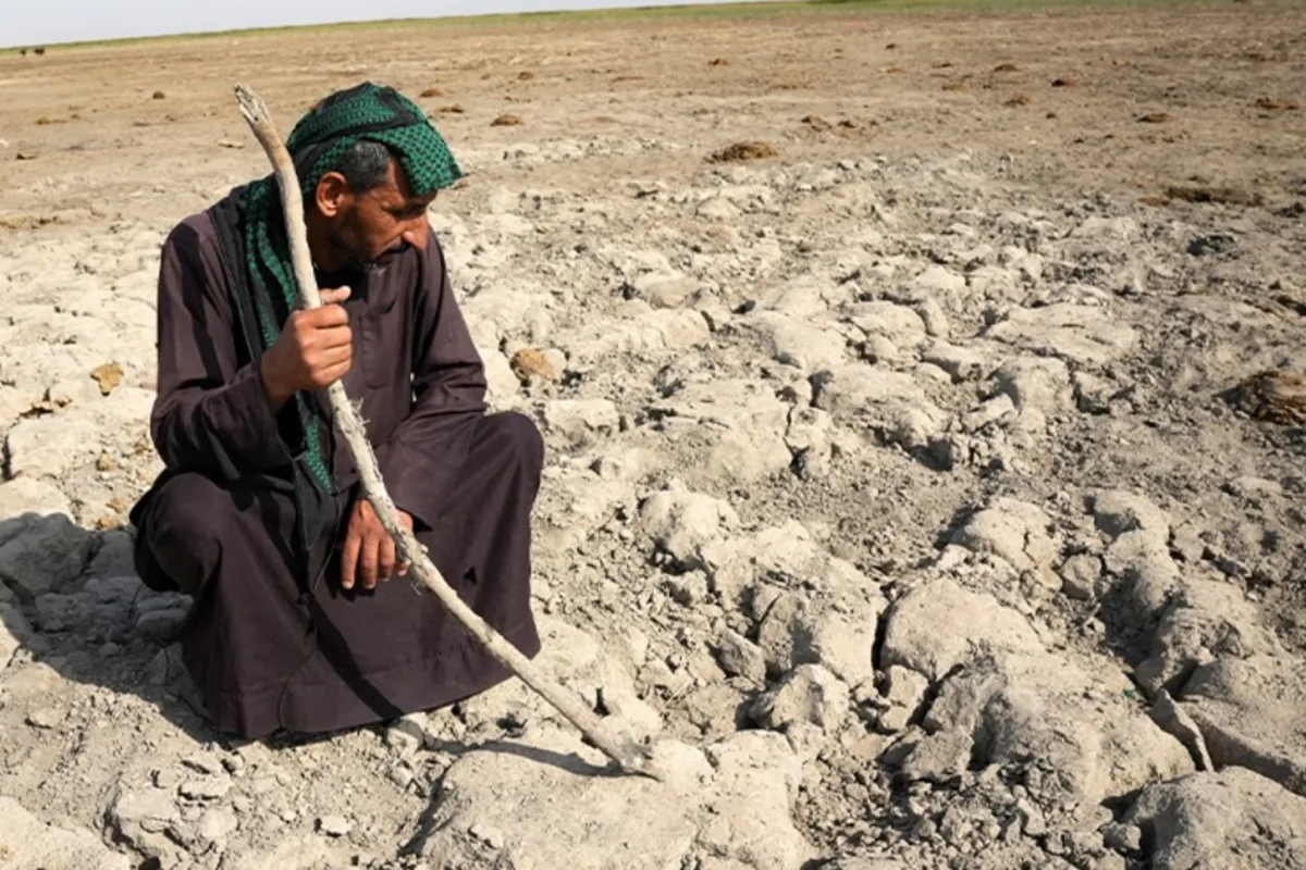 La frágil resistencia de un oasis clave para 250.000 personas: secaron humedales ancestrales por venganza, 10 años después los recuperaron y ahora podrían volver a desaparecer
