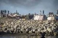 El Gobierno anuncia un acuerdo con Ceuta sobre nuevos espacios para la ubicación temporal de migrantes