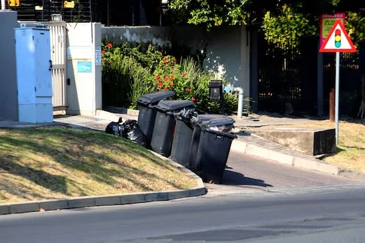 WATCH | The Political Week Ahead: Pikitup faces mounting pressure
