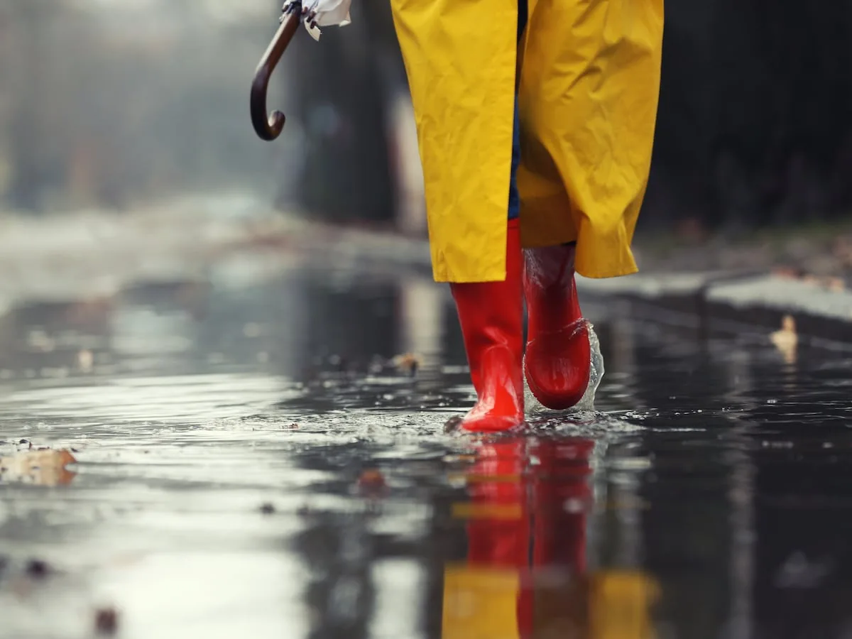 Heavy rains, thunderstorms and damaging winds across parts of SA