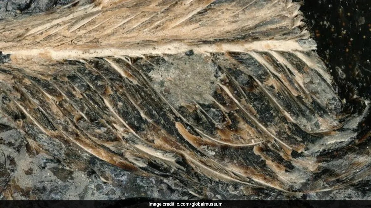 Some Birds Survived Asteroid That Killed Dinosaurs. Poop May Reveal How
