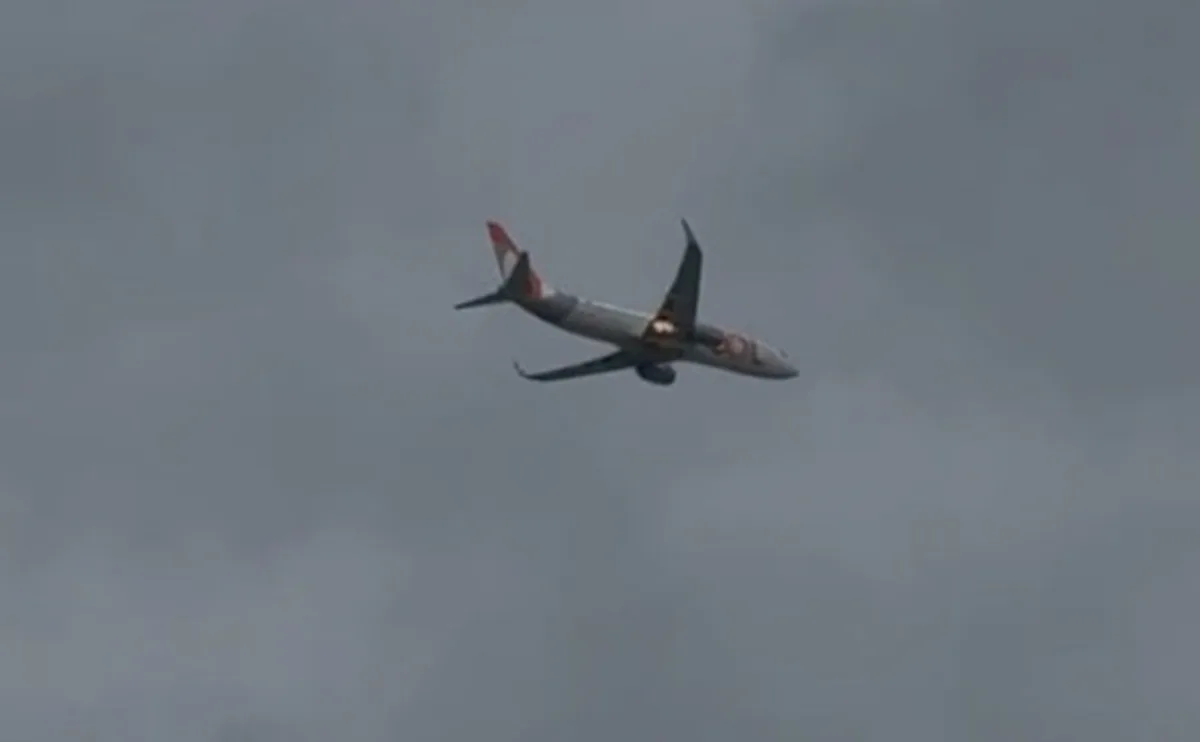 'Birdstrike': por que Aeroporto do Recife atrai tantas aves e tem 2º maior número de incidentes com aviões e pássaros no NE