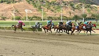 Este es el cuadro sugerido de bajo costo para el 5y6 nacional del domingo en La Rinconada
