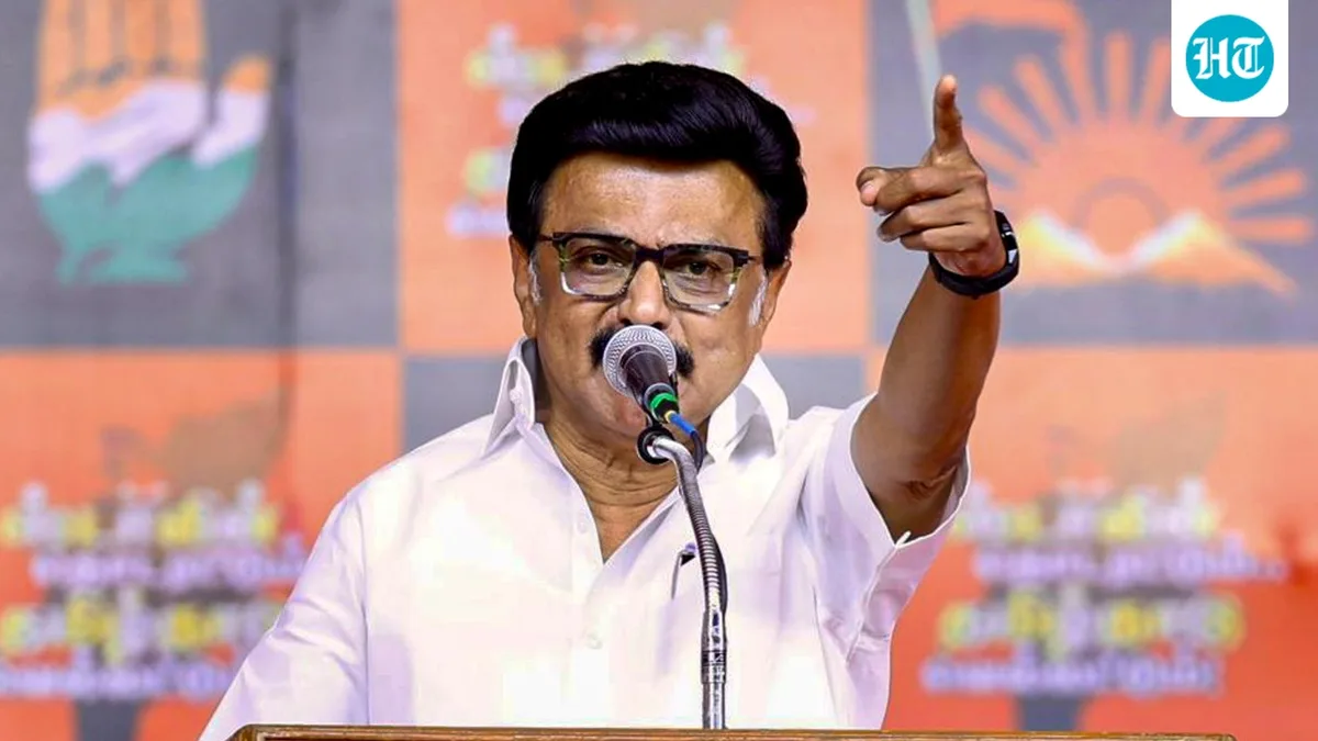 DMK calls for overhaul after poll setback: Age caps, 2-term limit, 110 organisational districts