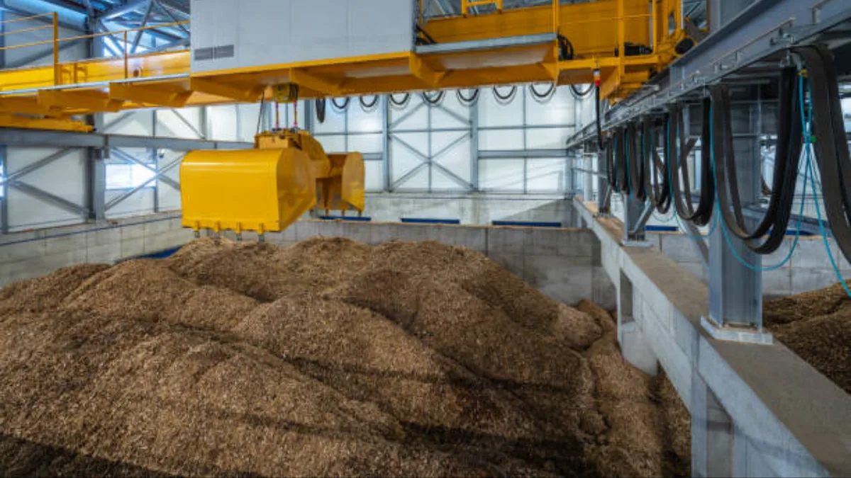 New foam made from discarded wood can decompose in soil within months