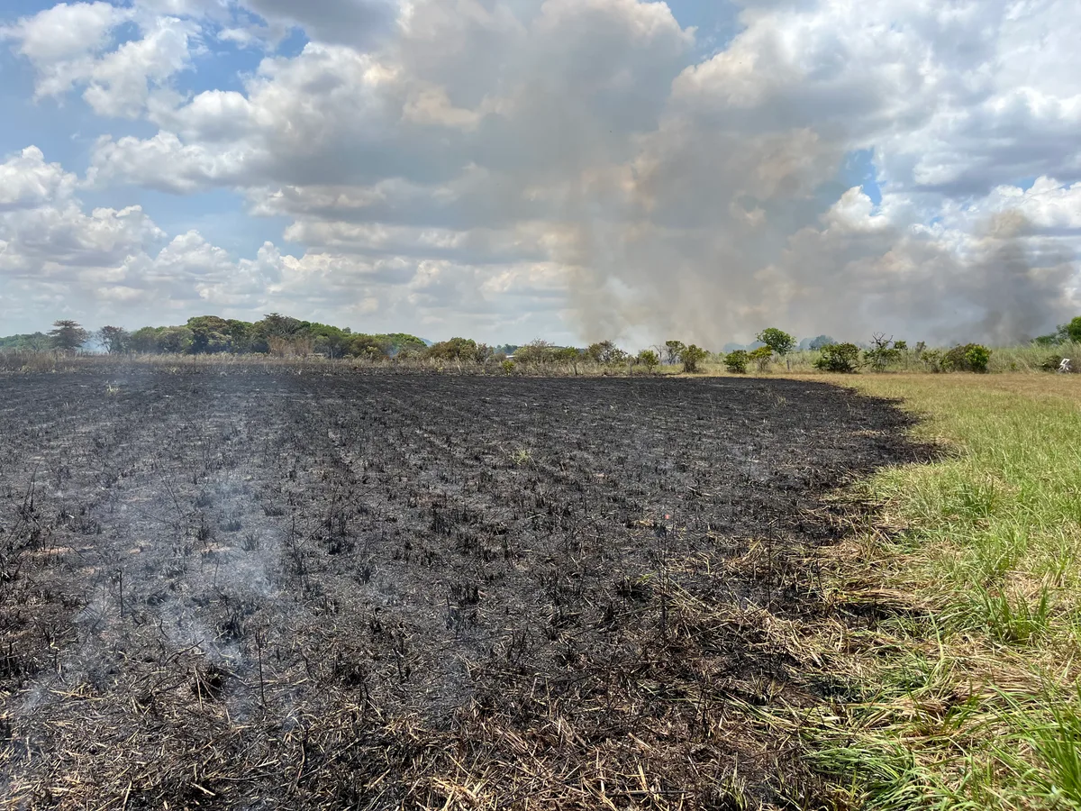 Incêndio atinge área de vegetação próxima a granjas em Boa Vista