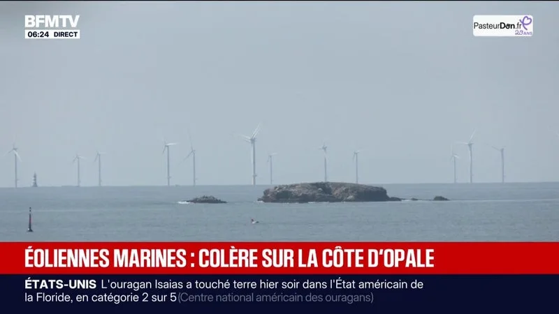 Pas-de-Calais: les élus locaux mécontents de l'installation de 30 éoliennes marines au large de Berck-sur-Mer