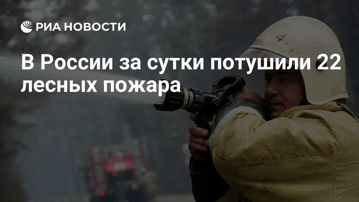 В России за сутки потушили 22 лесных пожара