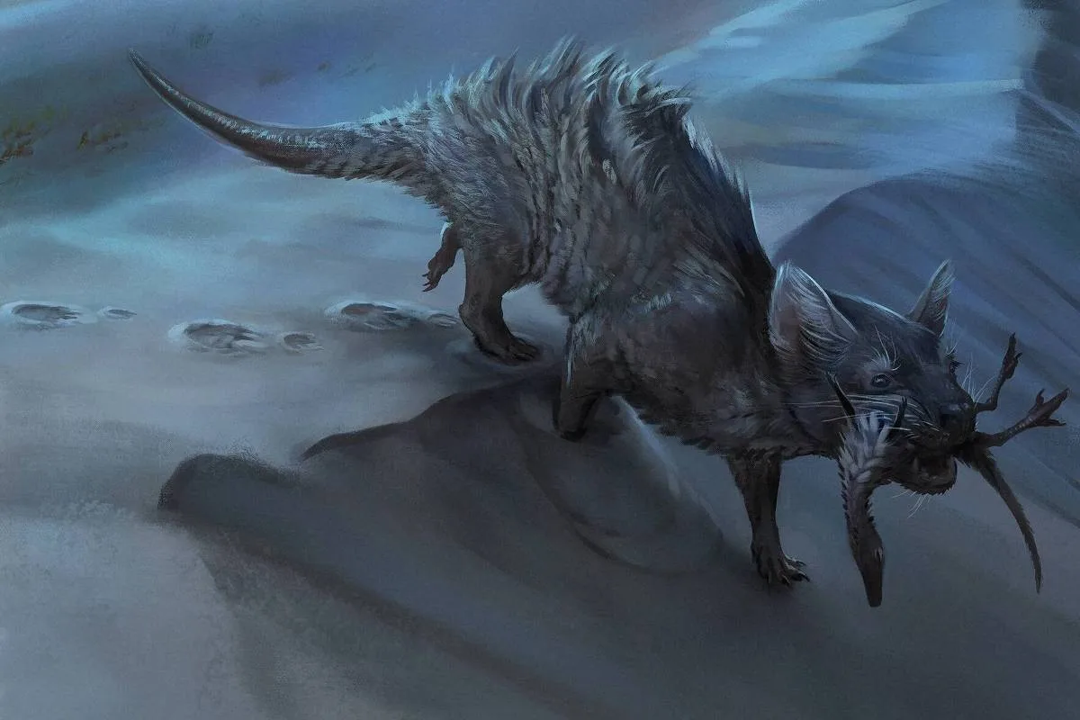 Pegada fóssil de SC revela maior mamífero da Era dos Dinossauros
