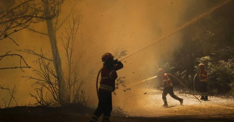 Vinte concelhos do continente em perigo máximo de incêndio