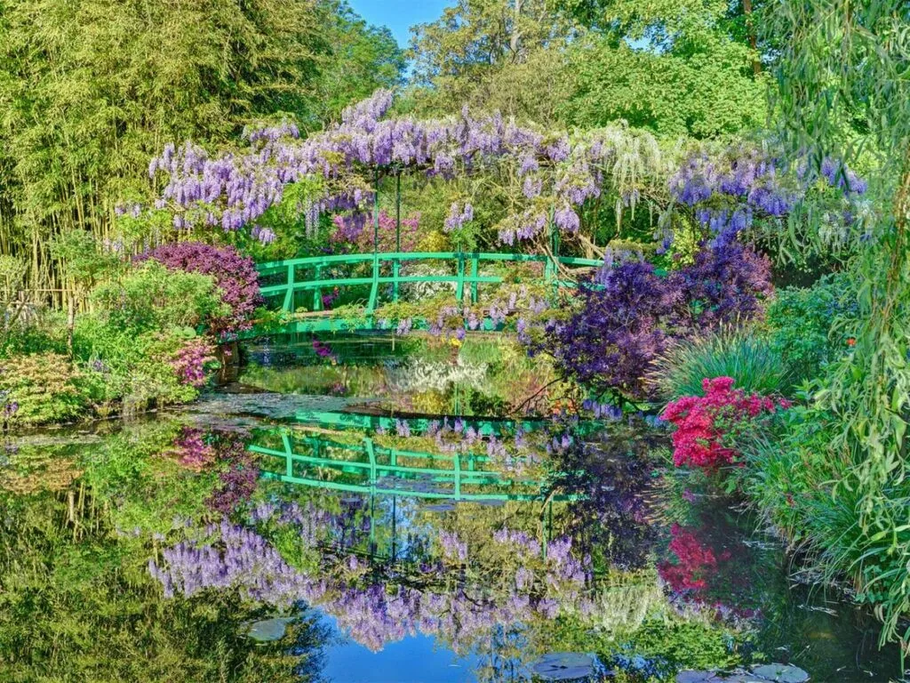 Vaga de calor destroi as flores dos famosos Jardins de Monet