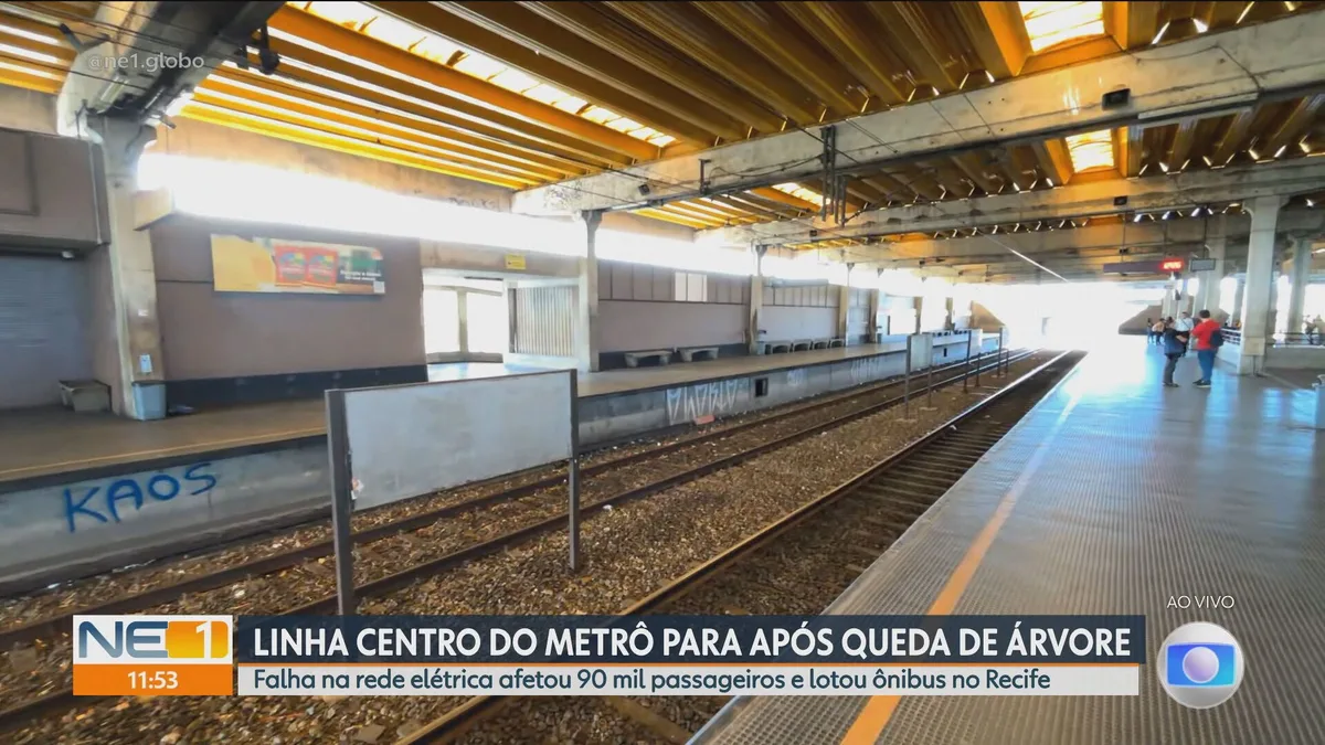 VÍDEOS: NE1 de quinta-feira, 24 de setembro de 2026