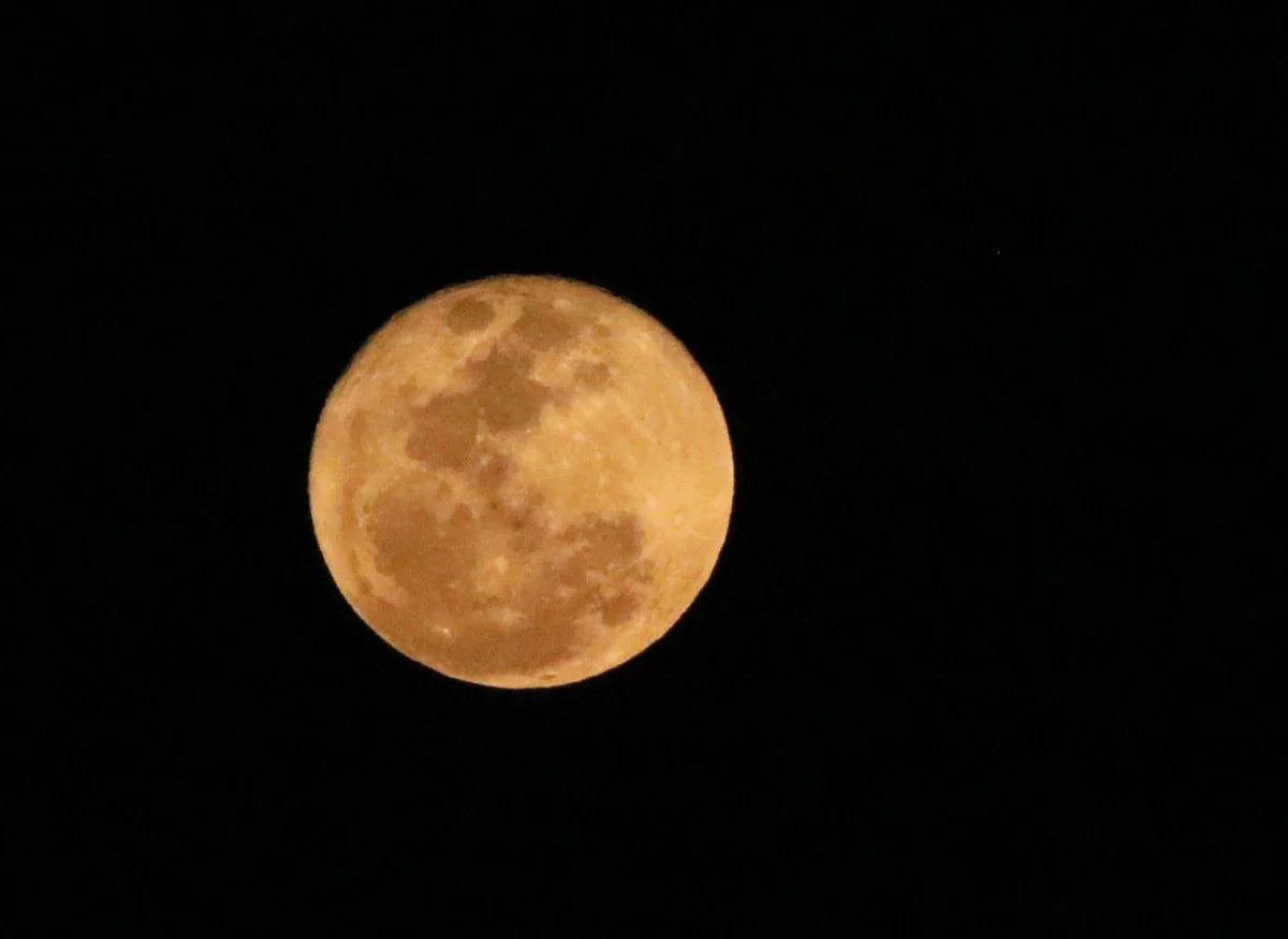 Luna de la Cosecha 2026: esta es la hora para ver la luna llena de septiembre en México