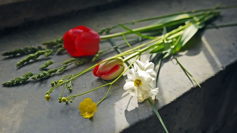 "N'oubliez jamais mes anges" : les remerciements touchants de la maman d'Eden et Nino, tués par leur père à Gy