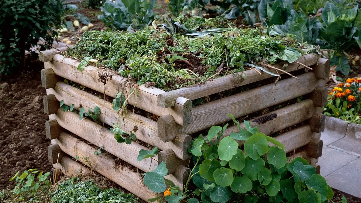 Recycling mal anders: Kompost richtig anlegen: Wie aus Kaffeesatz und Laub wertvoller Humus wird