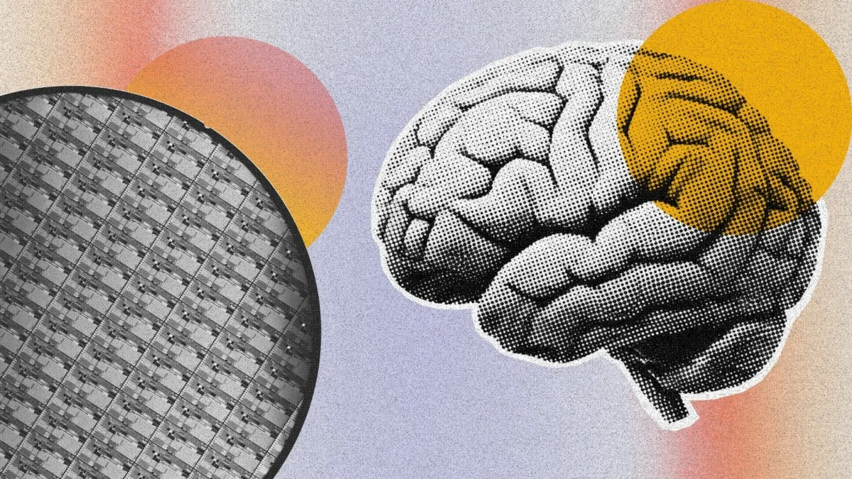 À Singapour, un rack de serveurs fonctionne avec 16 millions de neurones humains cultivés en labo