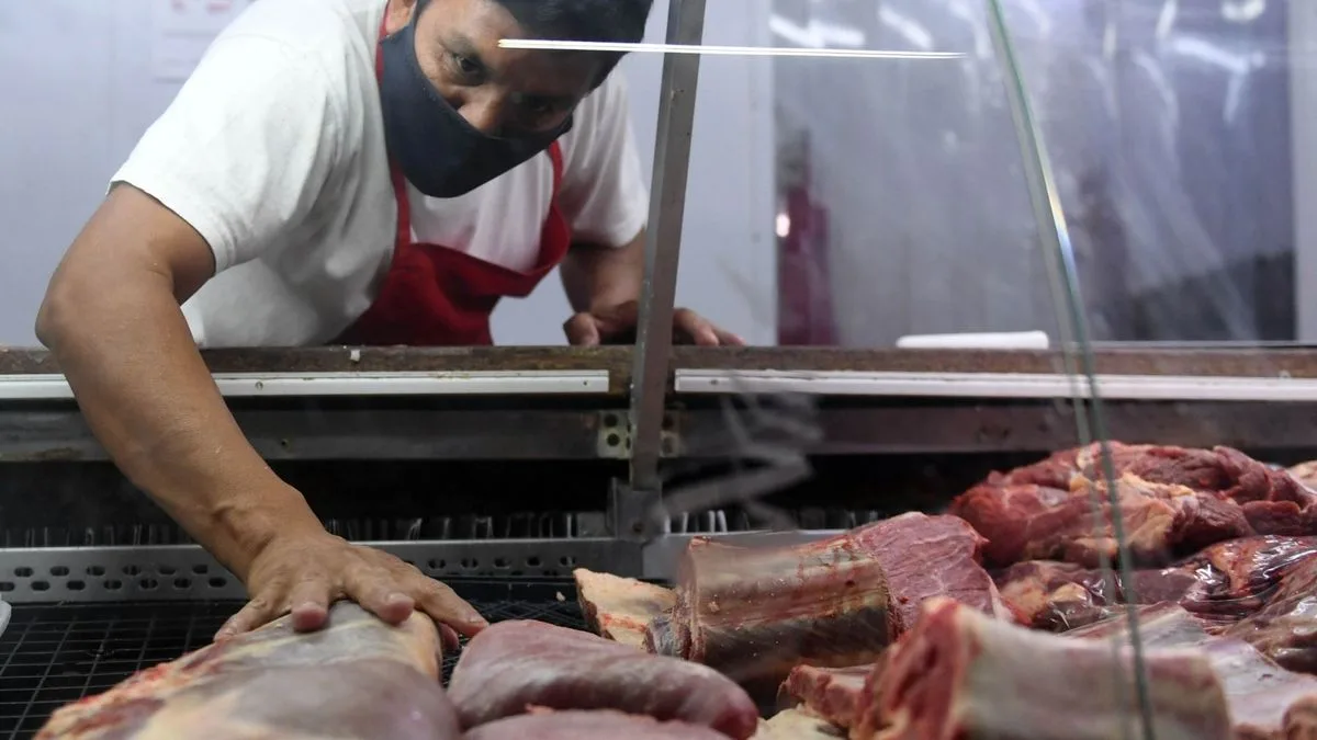 El consumo de carne vacuna se hundió 12% en lo que va de 2026 y perforó mínimos en más de dos décadas