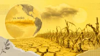 Produção interna de fertilizantes seria melhor ao Brasil, diz especialista