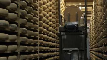 Face à la sécheresse, le gouvernement allège le cahier des charges AOP du comté, du beaufort et de l'abondance