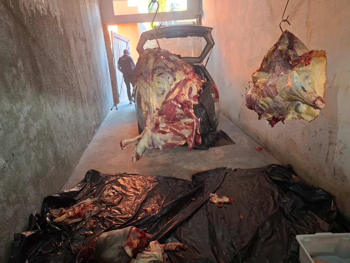 Carne de gado furtado era comercializada por grupo alvo de operação na Bahia