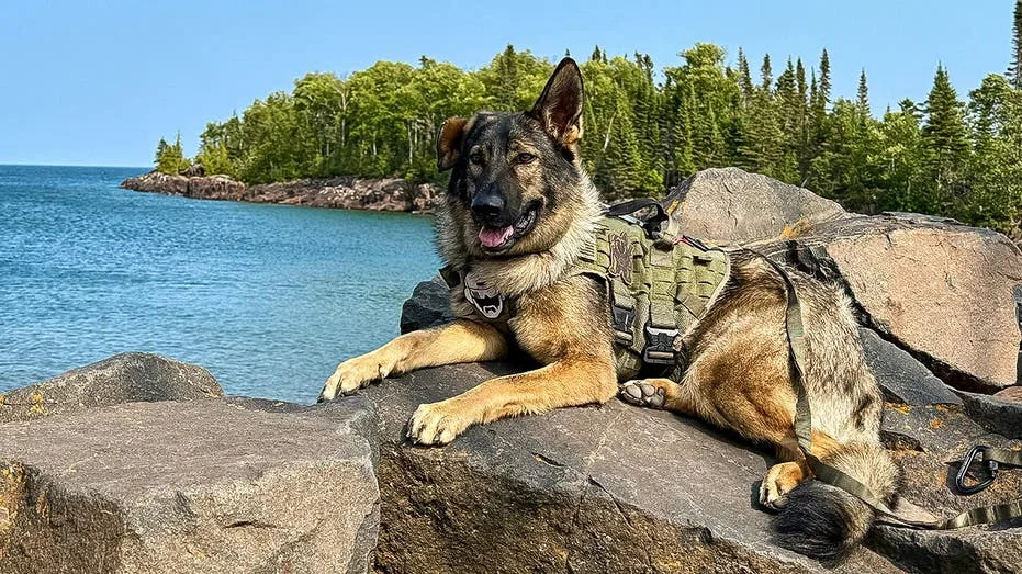 The ultimate dog-friendly road trip on Minnesota's North Shore from Duluth to Grand Marais