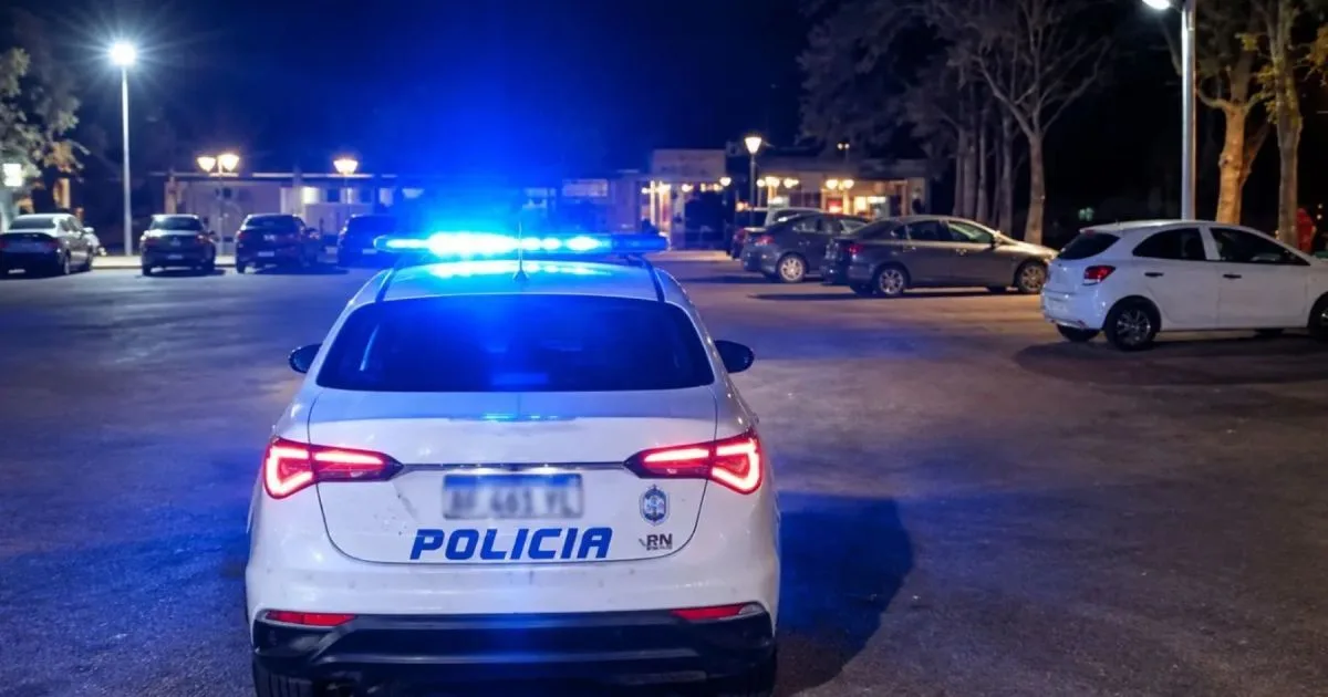 Desactivaron una fiesta clandestina en Lago Pellegrini: las luces y la música alertaron a la Policía