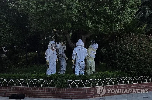 부산서 벌초하던 50대 등 2명 벌에 쏘여…1명 호흡곤란 증상