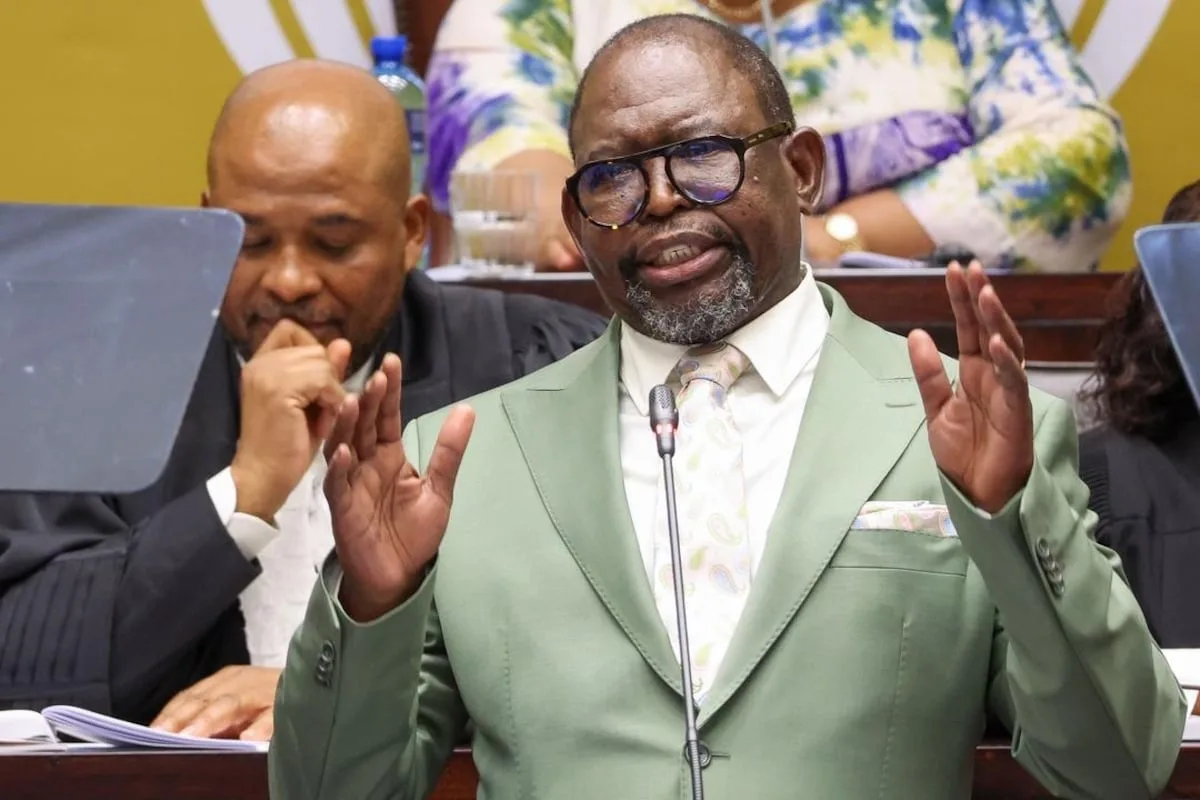 Godongwana faces ‘resilience test’ in medium-term budget update