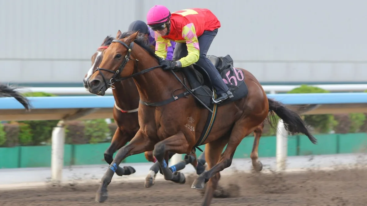 Zac Purton hopes My Wish can stamp himself as Hong Kong’s top miler in Sha Tin Trophy
