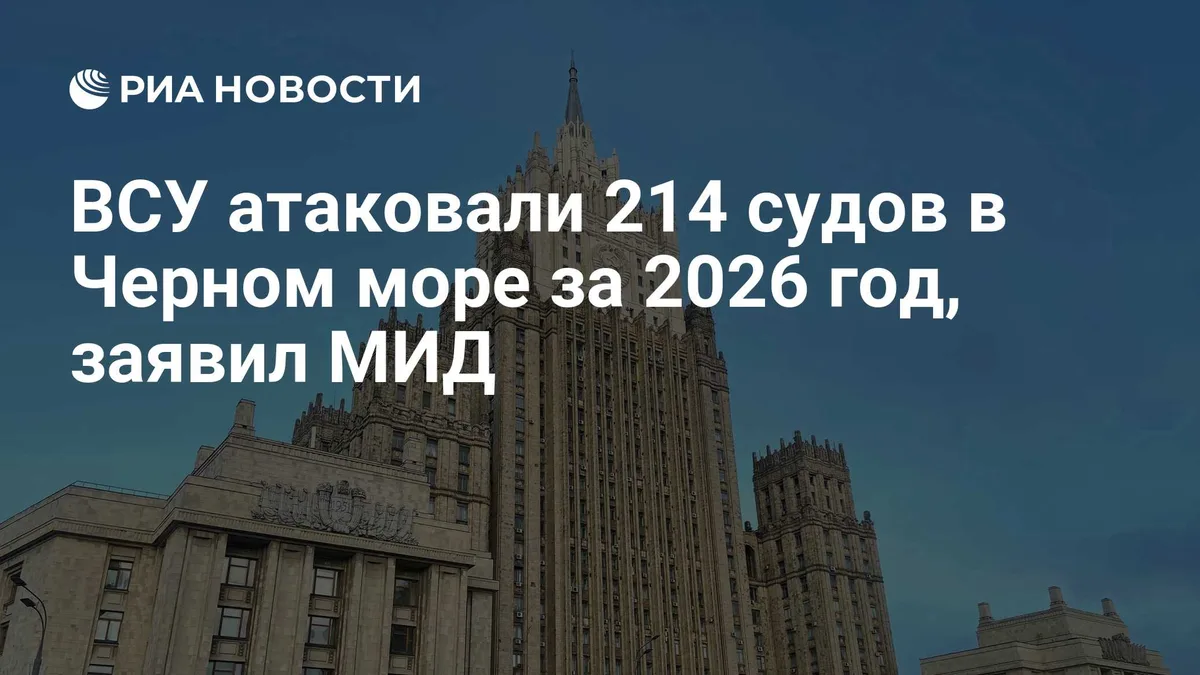 ВСУ атаковали 214 судов в Черном море за 2026 год, заявил МИД