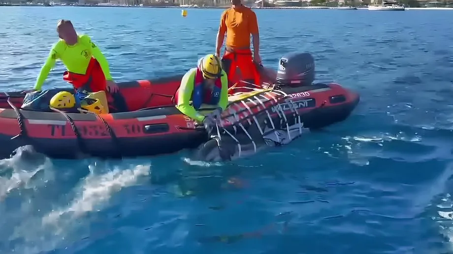 À Bandol, secours, citoyens et scientifiques mobilisés pour sauver un dauphin échoué