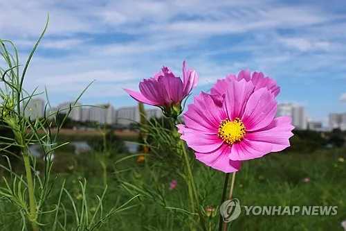 대전·세종·충남 10도 안팎 일교차…낮 최고 28도