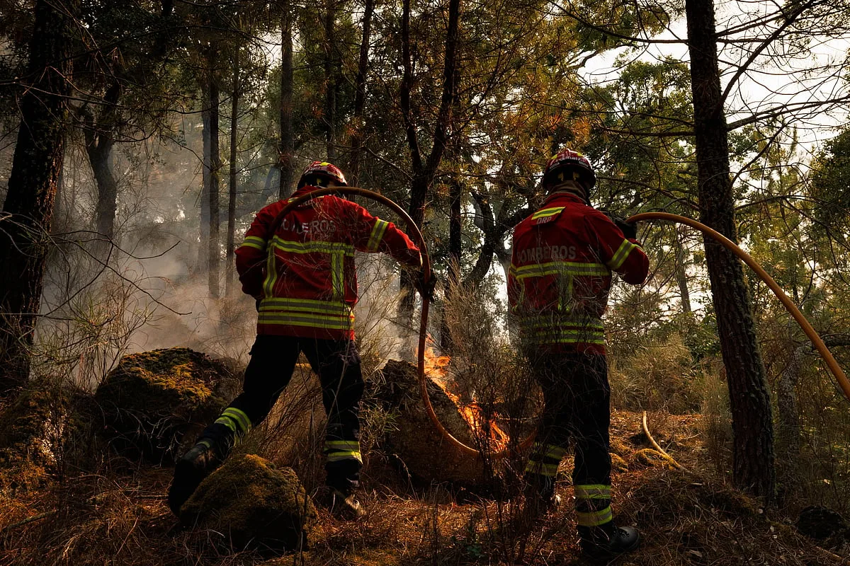 Veja registos do combate aos incêndios no Norte do país. Mais de 900 operacionais no terreno