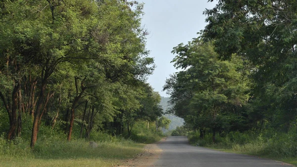 Case lodged in connection with attack on anti-poaching camps in Hanur