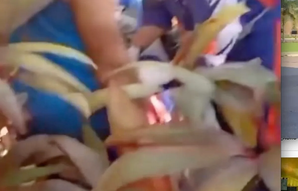 Bebê recém-nascido é abandonado na porta de casa em Manaus e choro salva criança