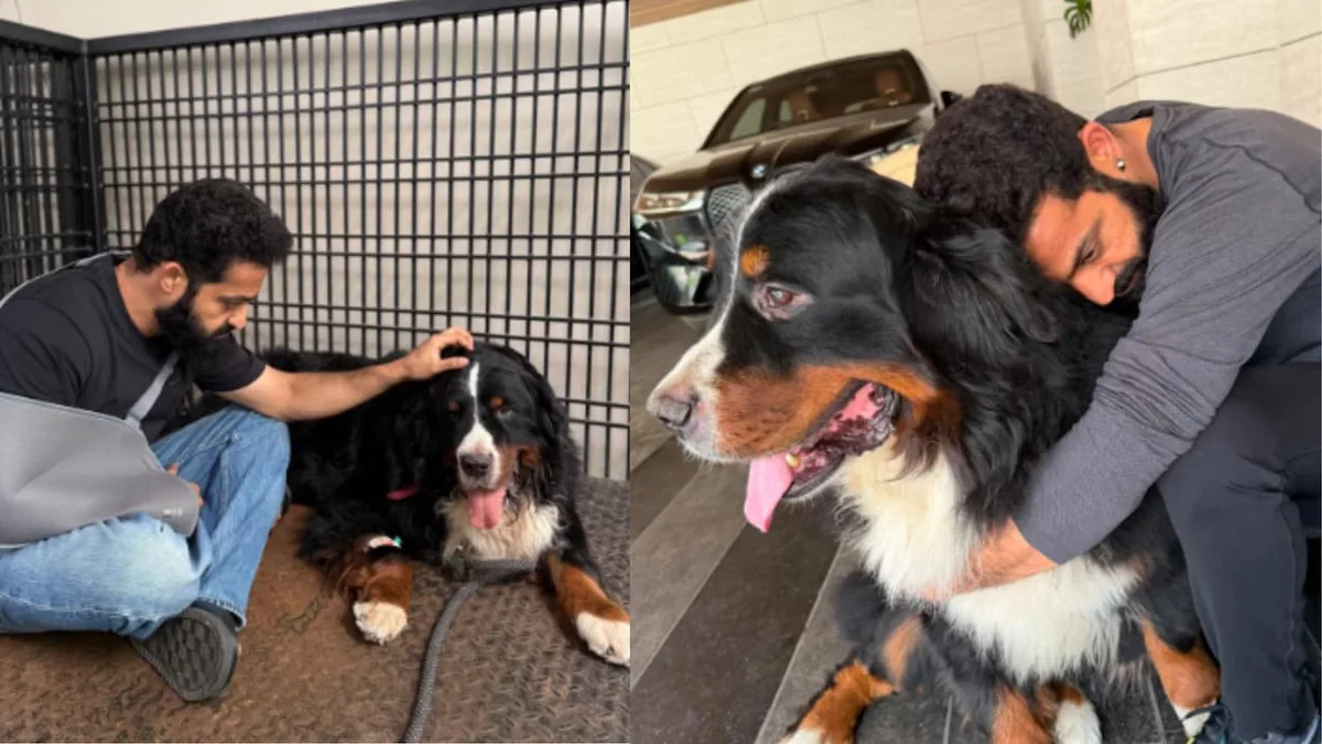 Jr NTR's Beloved Dog Bagheera Dies After Four Years, Actor Shares Heartbreaking Memories