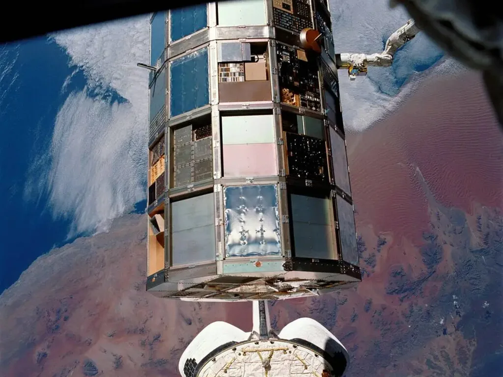 En 1984, la NASA envió al espacio 12.5 millones de semillas de tomate. Regresaron a la Tierra 6 años después para ser plantadas por estudiantes