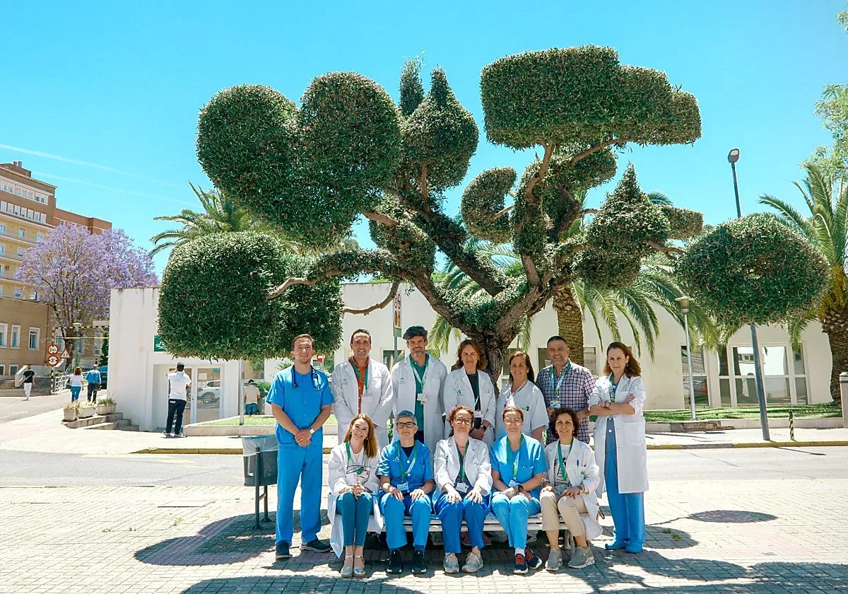 El Hospital Virgen del Rocío alcanza los 272 trasplantes de órganos en el primer semestre de 2026