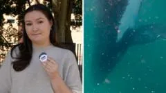 Watch: Can humpback whales experience grief?