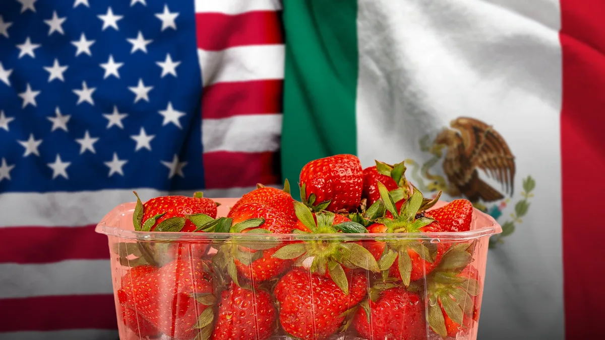 EU ‘castiga’ a la fresa mexicana e impone cuota de 5.28% por ‘dumping’: ‘No hay bases’, responde México